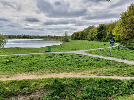 Join: Community Clean-Up