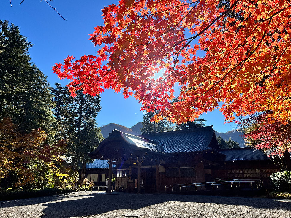 紅葉と日光田母沢御用邸記念公園