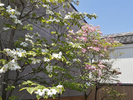 4月25日(日)第114回定期総会