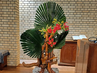 IMG20250413100336.jpg