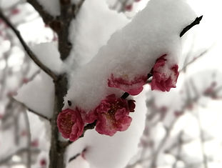 IMG_20220221_072845.jpg
