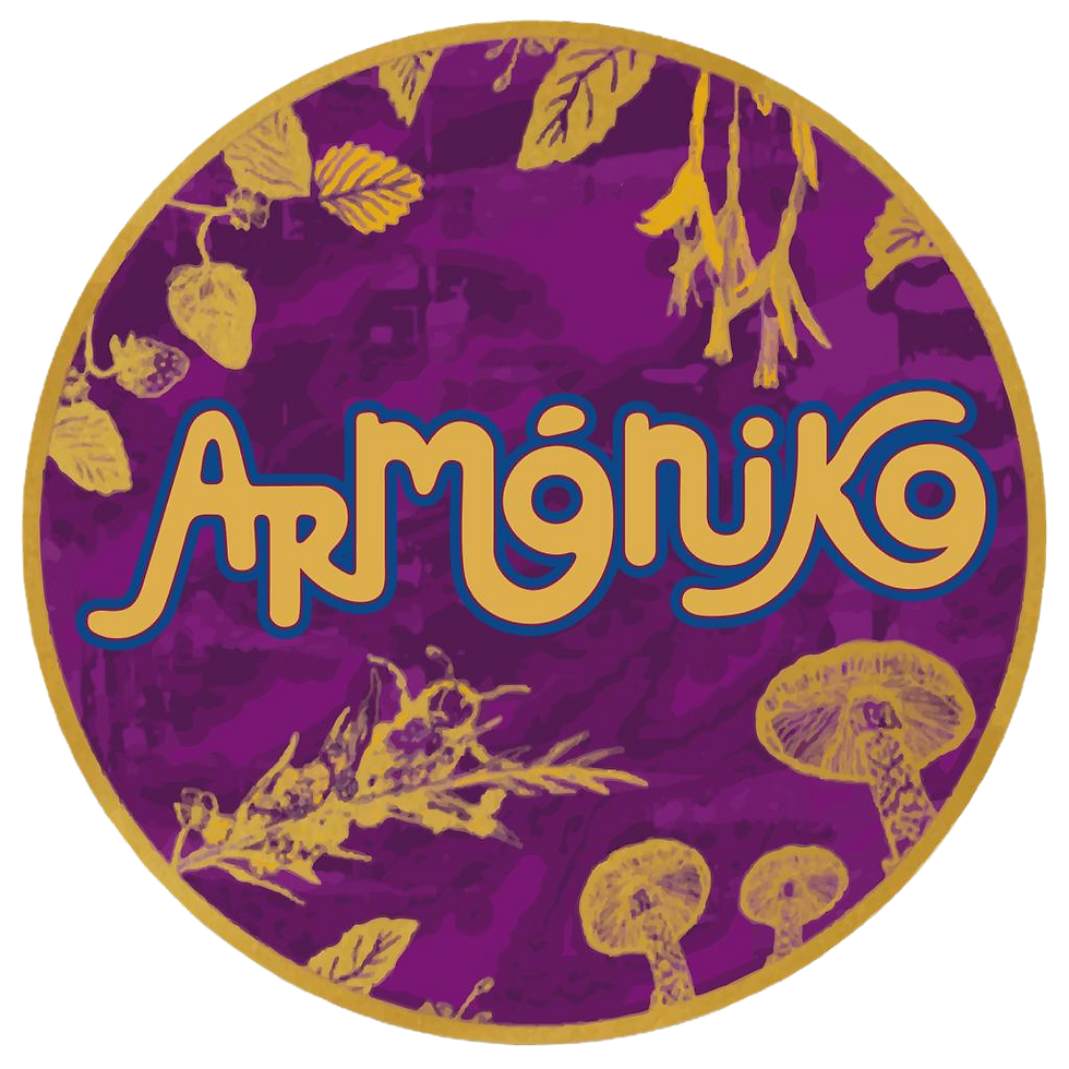 Armoniko Kombucha