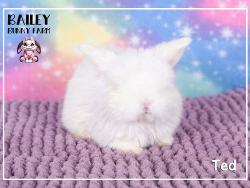 Baby Update 02.07.26