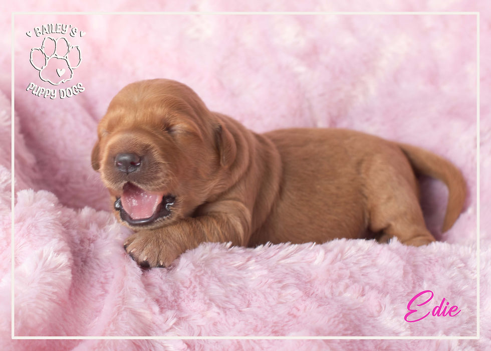 Baby Update 04.22.26