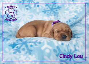 CindyLou010825.jpg