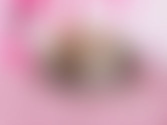 Baby Update 02.13.26