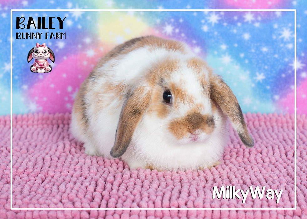 Milky Way needs a home