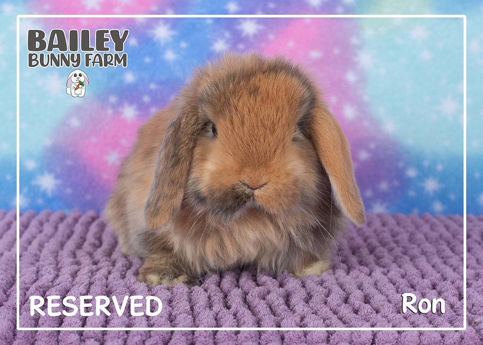 Baby Update 12.29.25