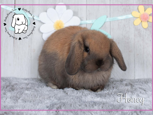 Amberly's are 6 weeks