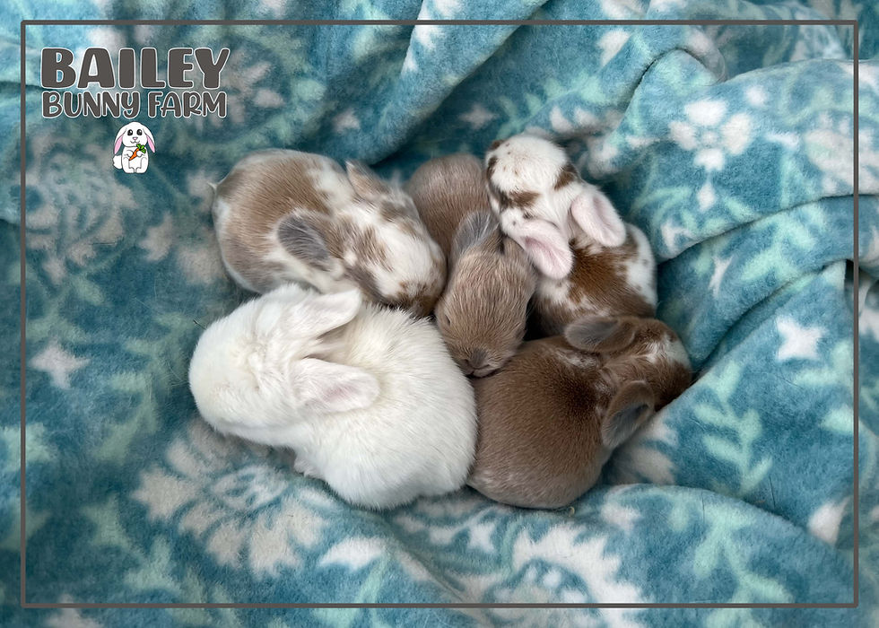 Baby Update 10.12.25