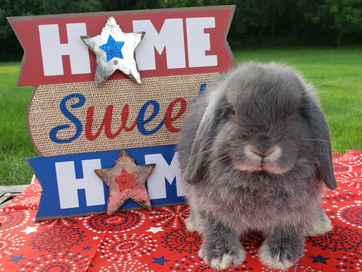 Happy 4th!
