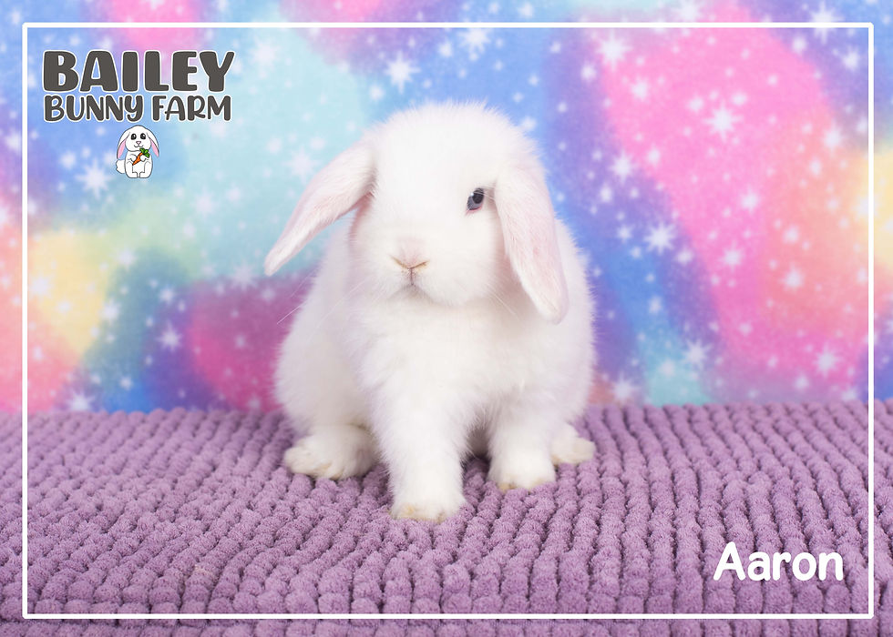 One little guy is looking and ready to go!