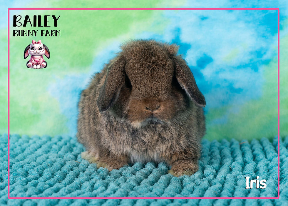 Baby Update 04.11.2026