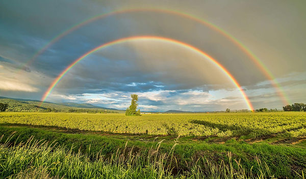 Regenbogen komp.jpg