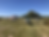SUGR
