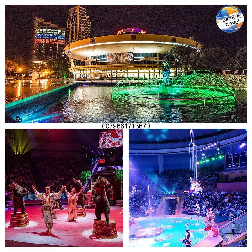 السيرك في مدينة سوتشي