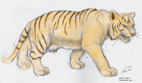 White Tiger (Orange)