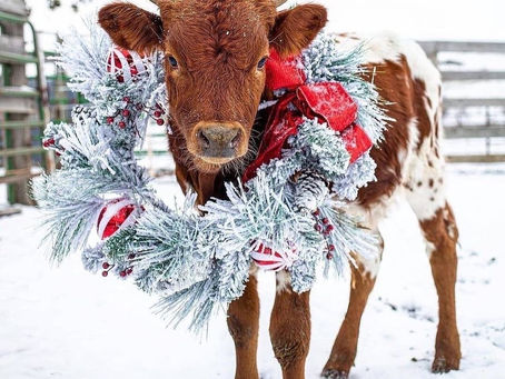 Christmas in July has begun!
