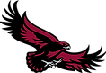 saint-joseph-s-hawks-logo-F068636B53-seeklogo.com.png