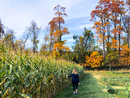 24 Hours in Northern New Jersey