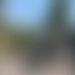 Epic Things to Do in Mammoth Lakes