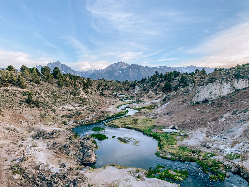 woman standing in forest by lake