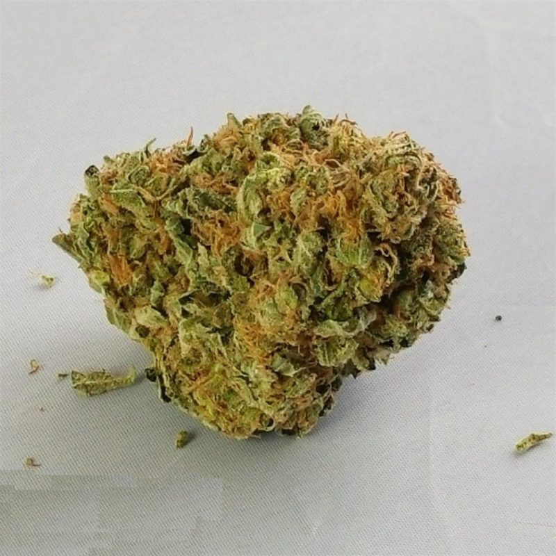 og Kush alaskan thunder