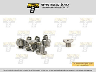 OP-70167 CONEXÃO INOX R. 1-8 BSP.jpg