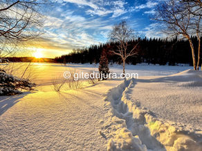Winter in the High-Jura mountains