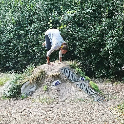 Bird on an elephant. Teamwork makes the