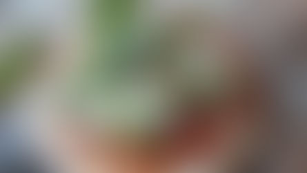 Minipizza's van speltpitabroodje