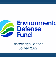 EDF (1).png
