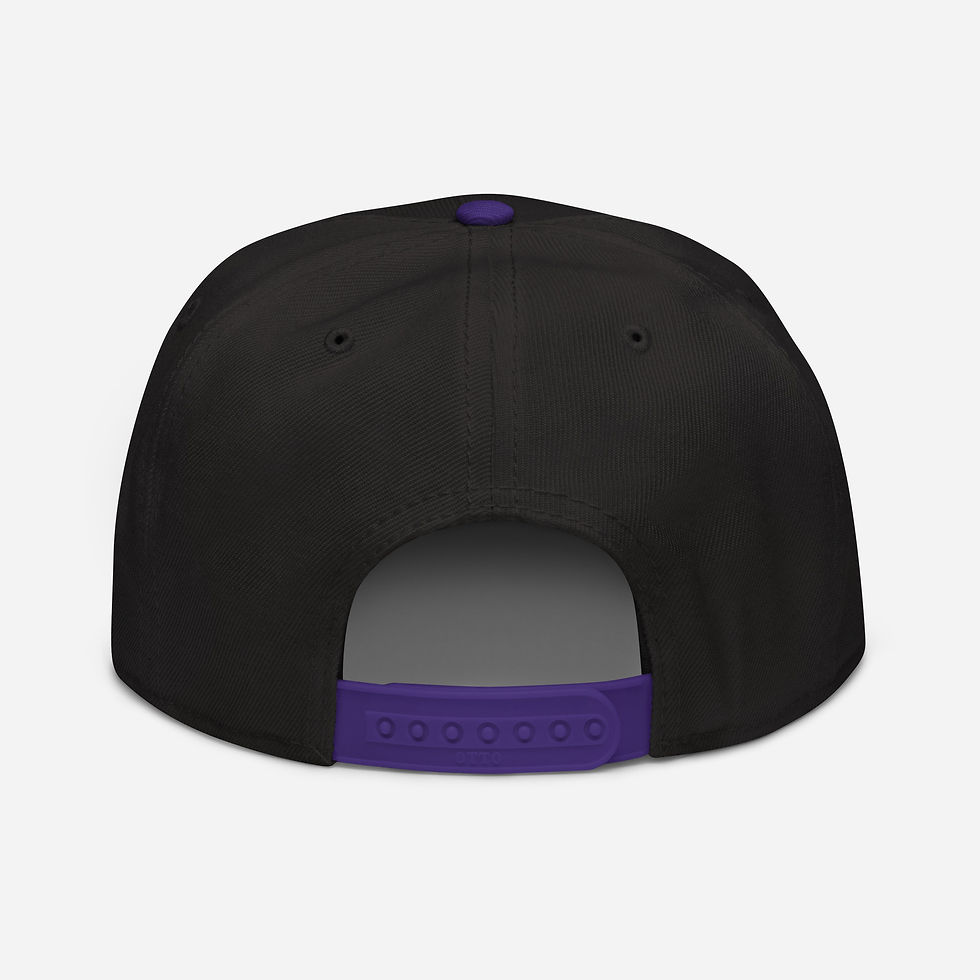Thumbnail: TNSG Sport Snapback Hat