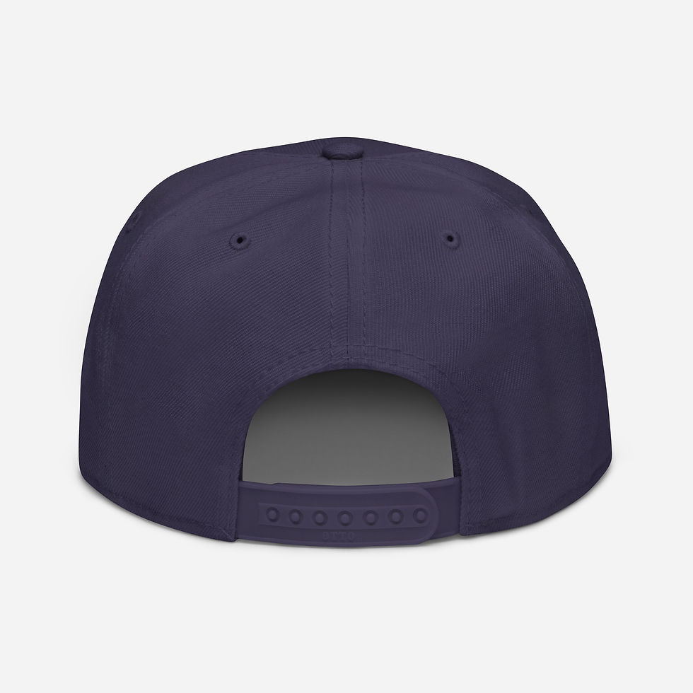 Thumbnail: TNSG Sport Snapback Hat