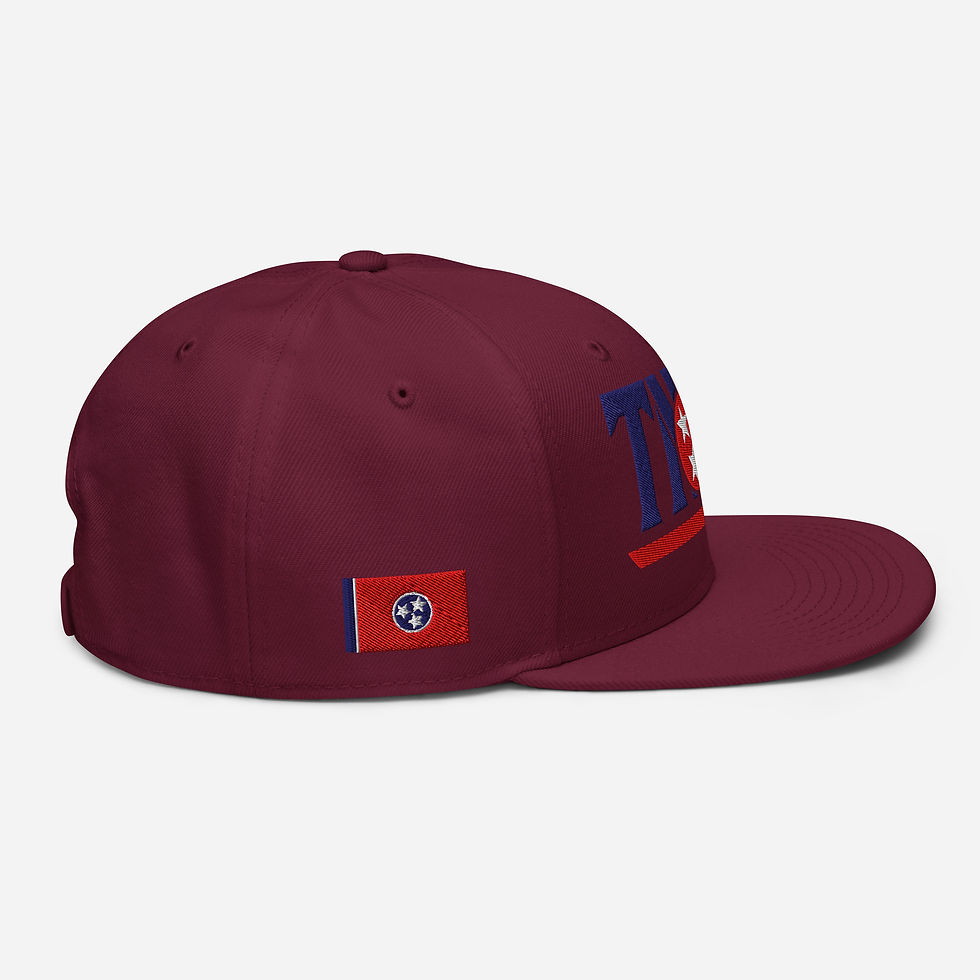 Thumbnail: TNSG Sport Snapback Hat