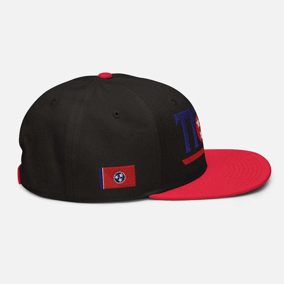 Thumbnail: TNSG Sport Snapback Hat