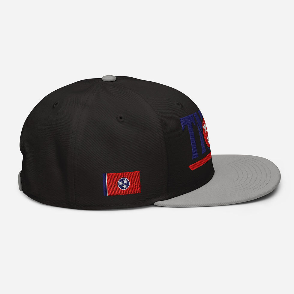 Thumbnail: TNSG Sport Snapback Hat