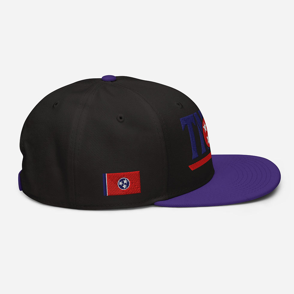 Thumbnail: TNSG Sport Snapback Hat