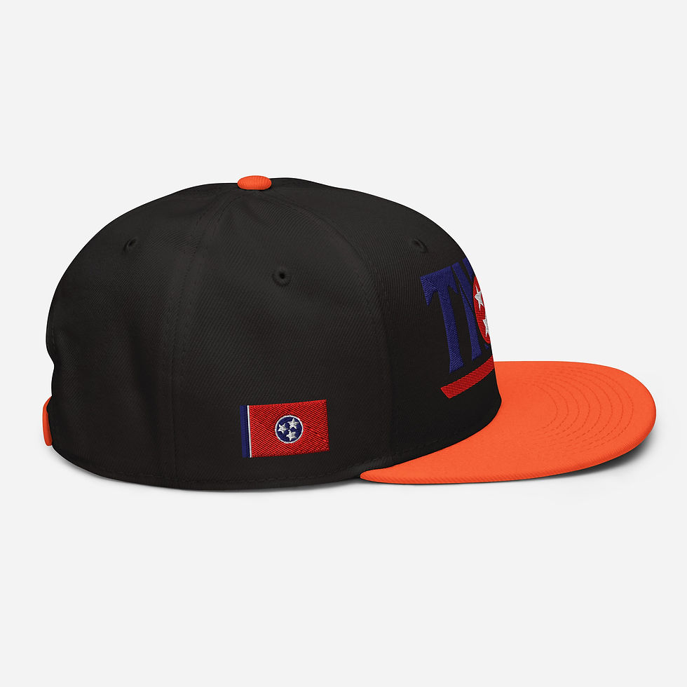 Thumbnail: TNSG Sport Snapback Hat