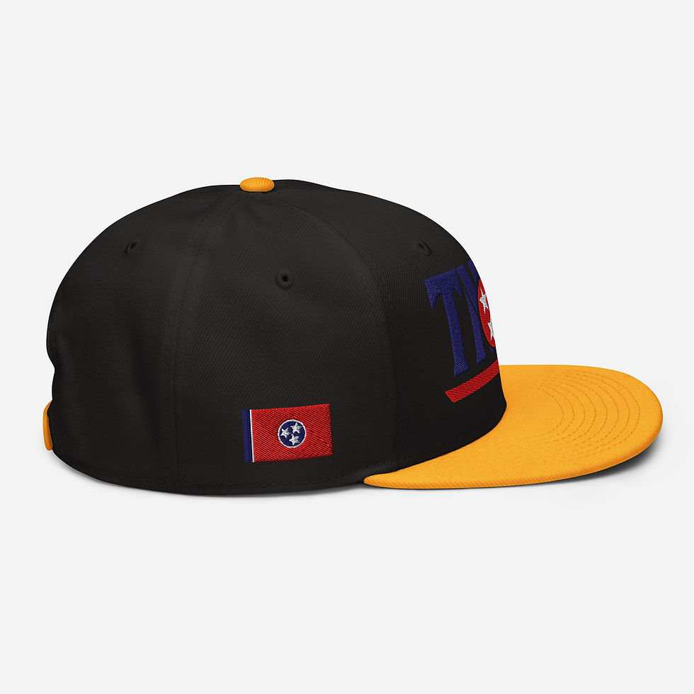 Thumbnail: TNSG Sport Snapback Hat