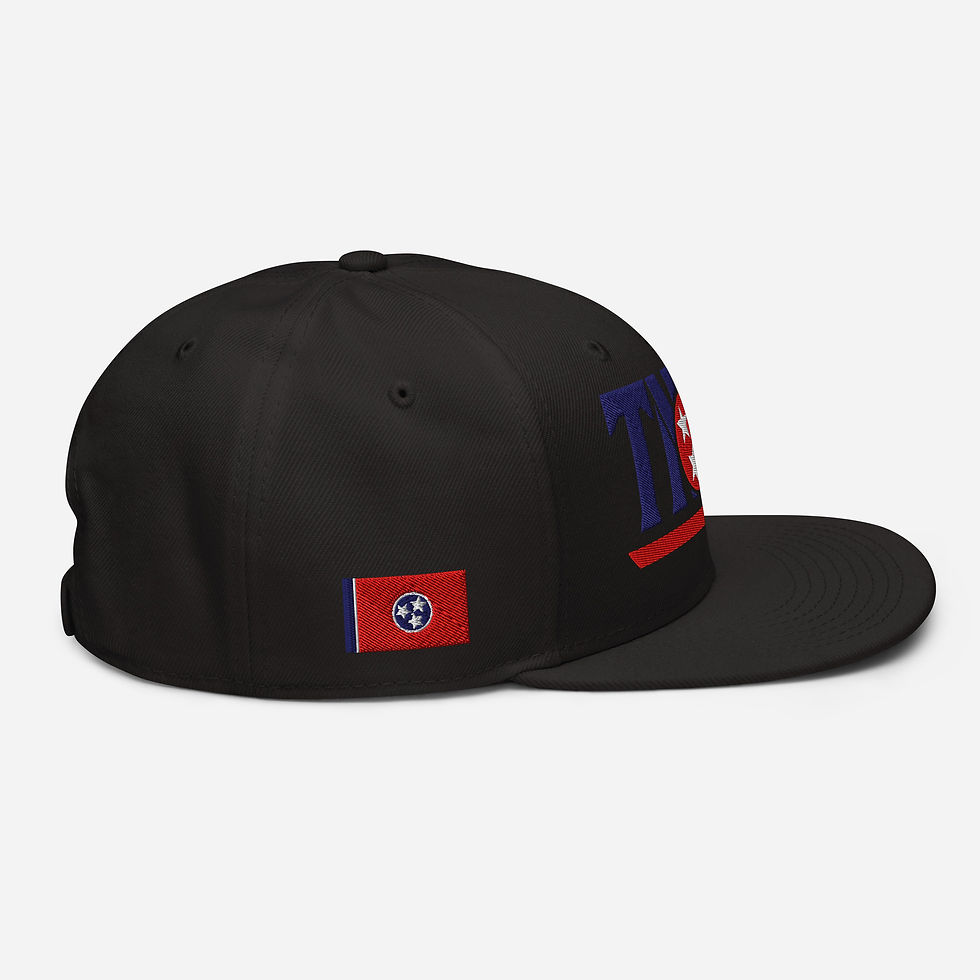 Thumbnail: TNSG Sport Snapback Hat