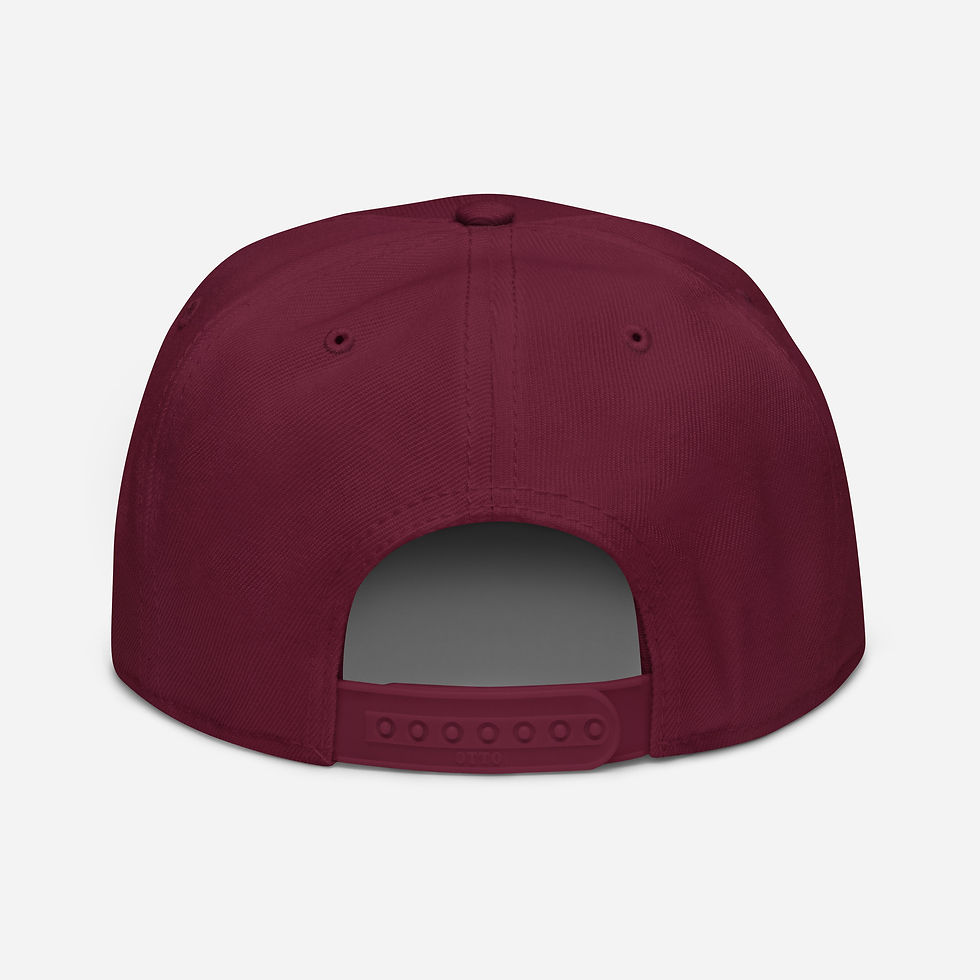 Thumbnail: TNSG Sport Snapback Hat