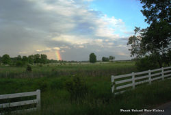 Rainbow in Pasture