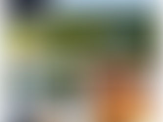 Germany vs. Ivory Coast in Toronto: Your Ultimate Guide to Ontario’s Nature Escape! 