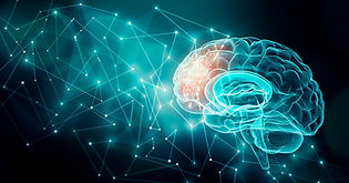 Regional-Neurological_Brain-Science.jpeg