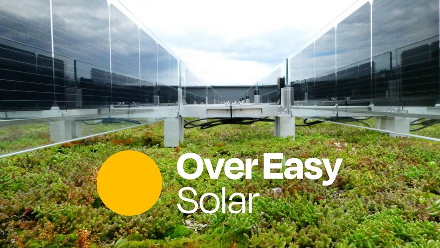 www.overeasy.no