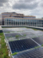 Conventional Solar Panel