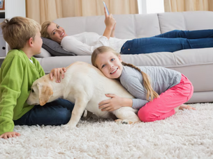 What Happens If You Never Clean Your Carpets? A Bakersfield Homeowner’s Reality Check