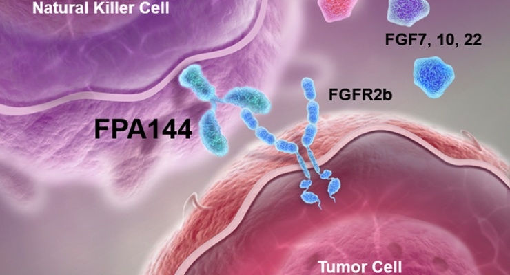 Bemarituzumab (FPA-144)