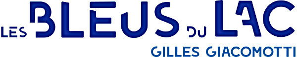 LBDL logo panoramique.jpg